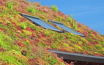 Stanford Hills living roof systems