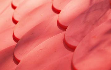 Stanford Hills plastic roof costs