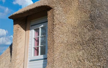 Stanford Hills thatch roof disadvantages